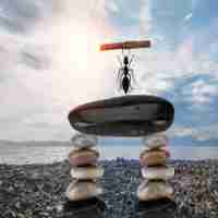 seo必‍备‍工‌具​